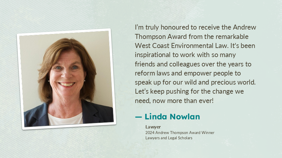 Bio photo of Linda Nowlan next to her title and quote