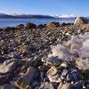 Plastic Bag on rocky beach